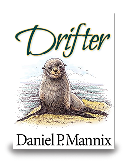 Drifter - cover