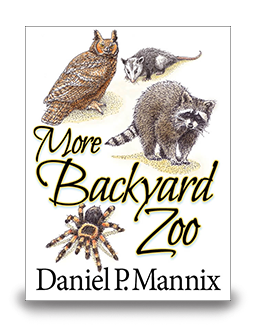 More Backyard Zoo - cover
