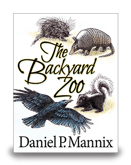 The Backyard Zoo - cover