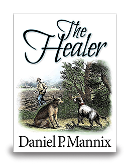 The Healer - cover