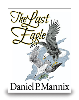 The Last Eagle - cover