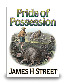 Pride of Possession - cover