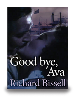 Good bye, Ava - cover