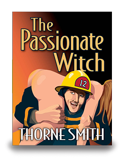 The Passionate Witch - cover
