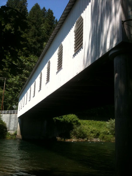 Good Pasture Bridge image