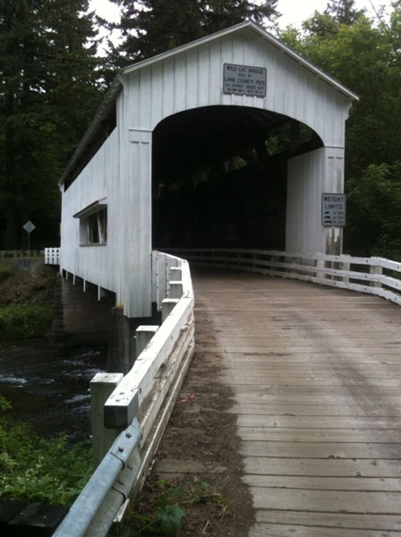 Wildcat Bridge image